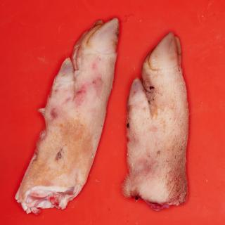 Photo Textures of Pig Leg 